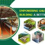 Empowering Gaushalas, Building a Better Tomorrow