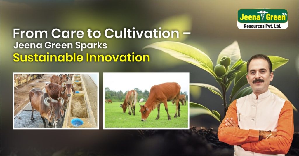 From Care to Cultivation – Jeena Green Sparks Sustainable Innovation