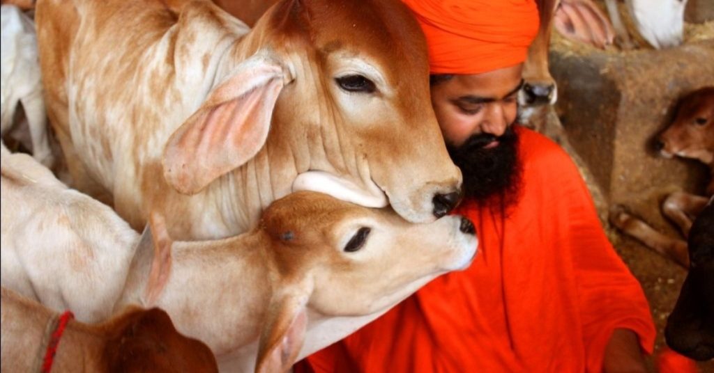 Jeena Green – Building a Healthier Nation Through Cow-Centric Sustainability