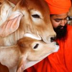 Jeena Green – Building a Healthier Nation Through Cow-Centric Sustainability